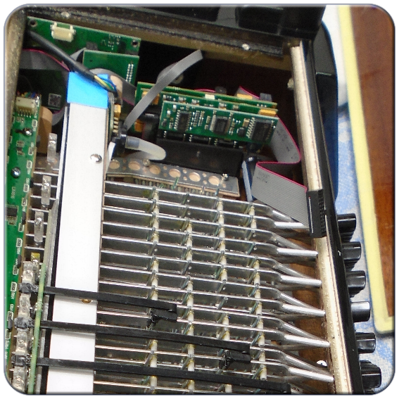 Limex Bassmidi Einbau